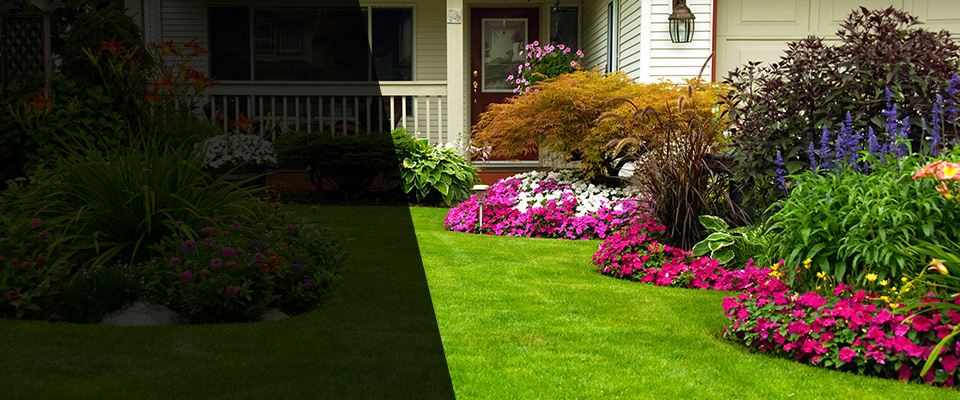 Pelahatchie Landscapers