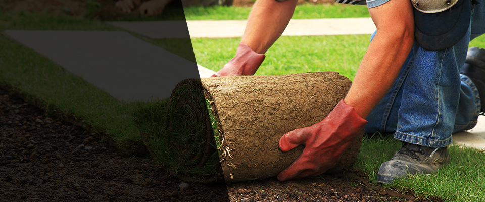 Pelahatchie Landscapers